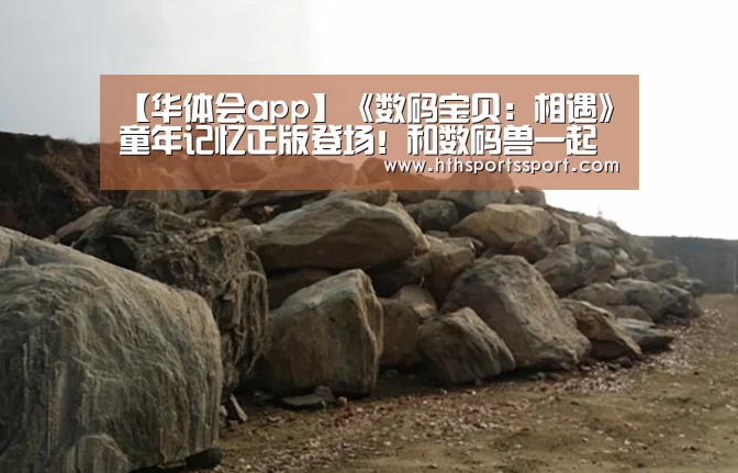 华体会app下载