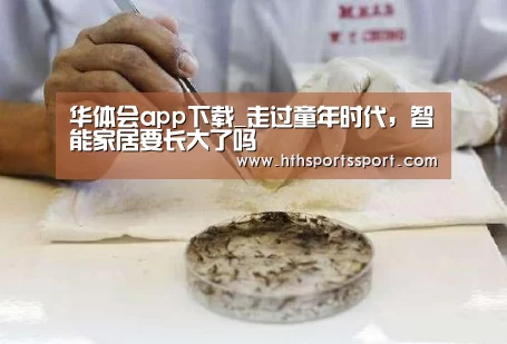华体会app下载_走过童年时代,智能家居要长大了吗(图2) 华体会app