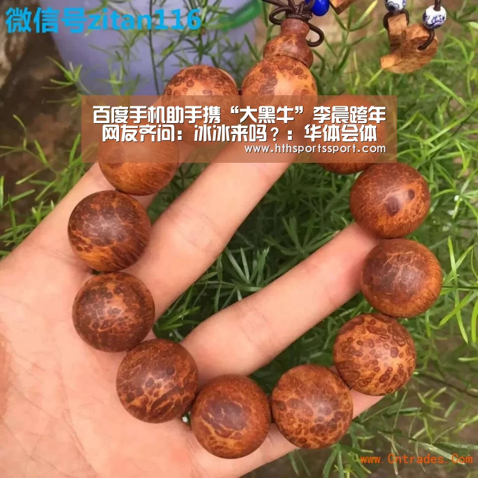 华体会体育