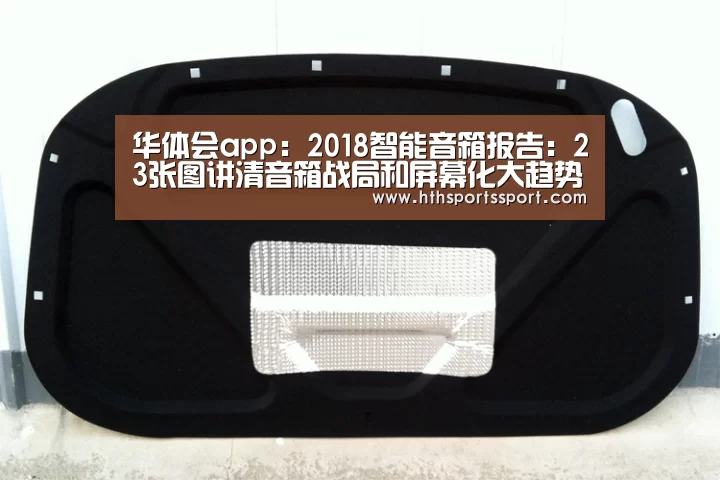 华体会app:2018智能音箱报告:23张图讲清音箱战局和屏幕化大趋势(图2) 华体会体育