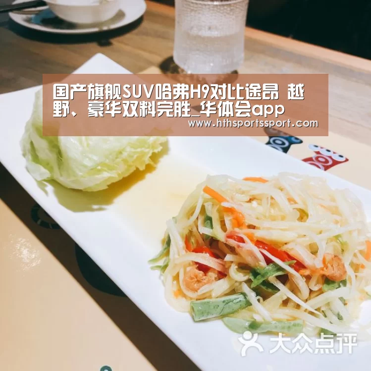 国产旗舰SUV哈弗H9对比途昂 越野、豪华双料完胜_华体会app(图3) 华体会app下载