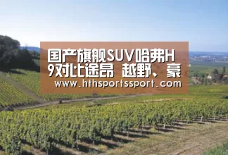 国产旗舰SUV哈弗H9对比途昂 越野、豪华双料完胜_华体会app(图1) 华体会app下载